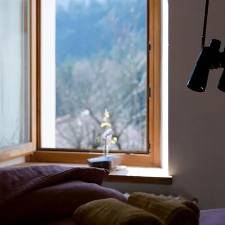 Zummer Frei Dolomites Meadow Daire