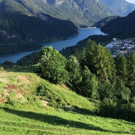 公寓 Zummer Frei Dolomites Meadow 皮耶韦迪卡多雷