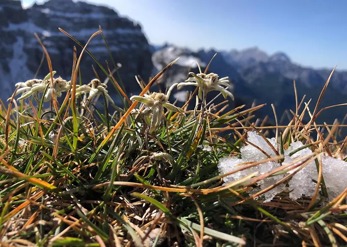 Apartmán Zummer Frei Terra Pieve di Cadore